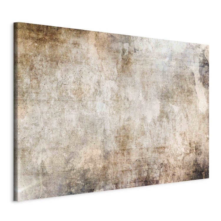 Canvas Art Print Rust Texture - Abstract Wall in Shades of Pastel Brown 151452 additionalImage 2