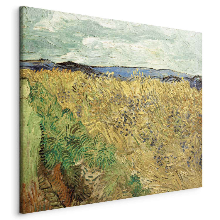 Reproduction Painting Wheat Field with Cornflowers  155152 additionalImage 2