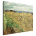 Reproduction Painting Wheat Field with Cornflowers  155152 additionalThumb 2