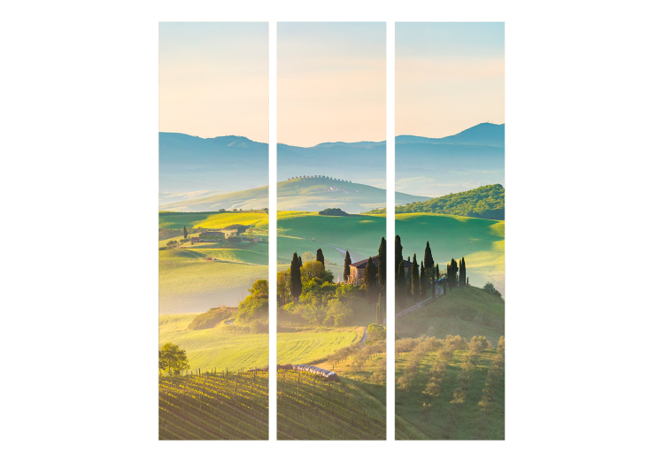 Room Divider Screen Tuscany - Idyllic Landscape at Sunrise [Room Dividers] 159552 additionalImage 3