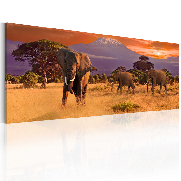 Canvas March of african elephants 58552 additionalImage 2