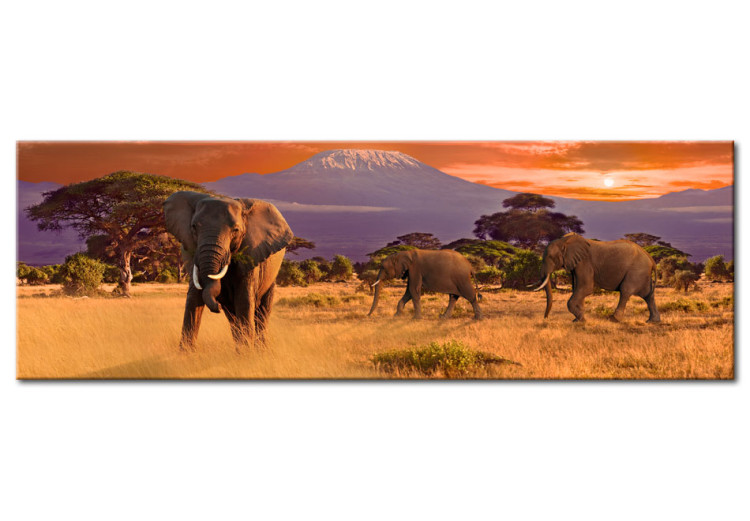 Canvas March of african elephants 58552