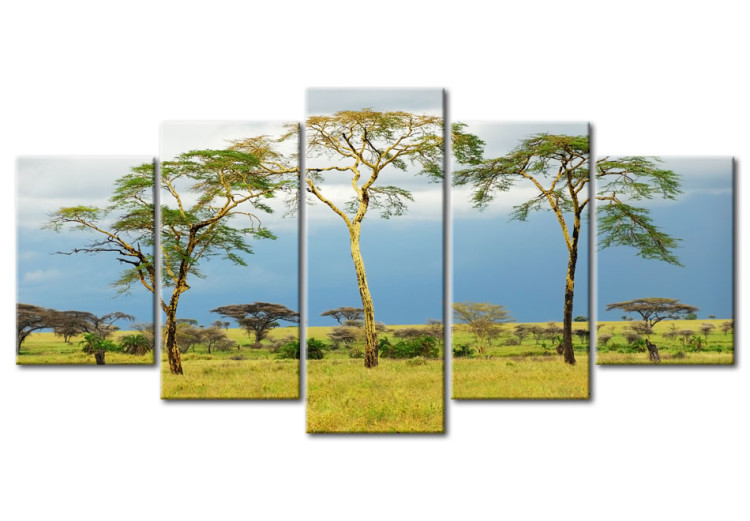 Canvas African greenery 58652