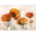 Photo Wallpaper Poppies - Vintage and Landscape with Composition of Red Flowers on a Light Background 60652 additionalThumb 1