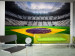 Wall Mural Brazilian Football - Soccer stadium with the Brazilian flag on the field 61152