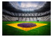 Wall Mural Brazilian Football - Soccer stadium with the Brazilian flag on the field 61152 additionalThumb 1