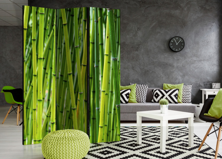 Room Divider Bamboo Forest - green bamboo trees in an oriental Zen motif 97352 additionalImage 4