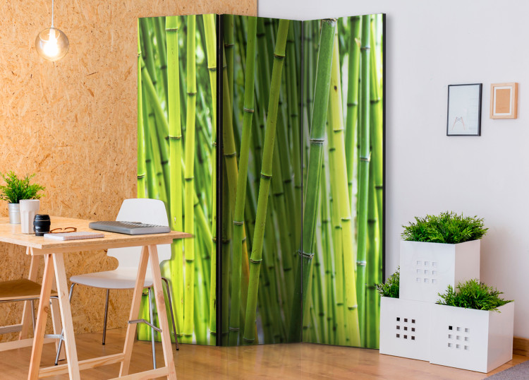 Room Divider Bamboo Forest - green bamboo trees in an oriental Zen motif 97352 additionalImage 2