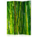 Room Divider Bamboo Forest - green bamboo trees in an oriental Zen motif 97352