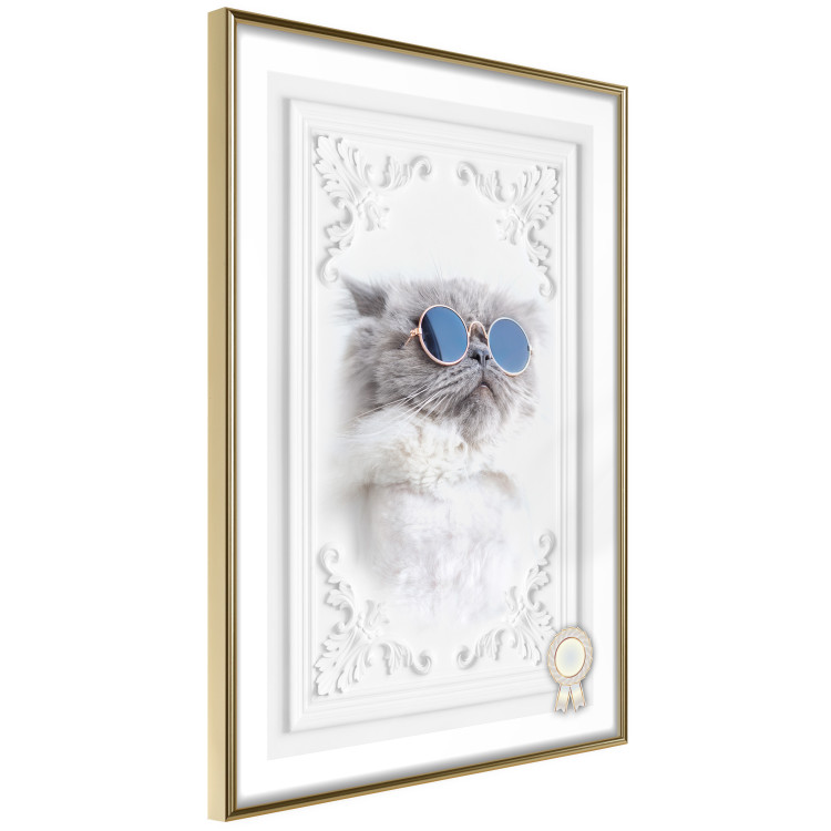 Poster Cat in Glasses - Playful composition with an animal on a white background 114362 additionalImage 12