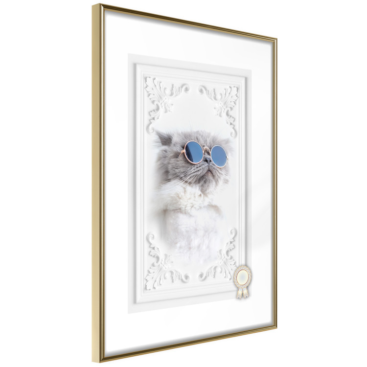 Poster Cat in Glasses - Playful composition with an animal on a white background 114362 additionalImage 6