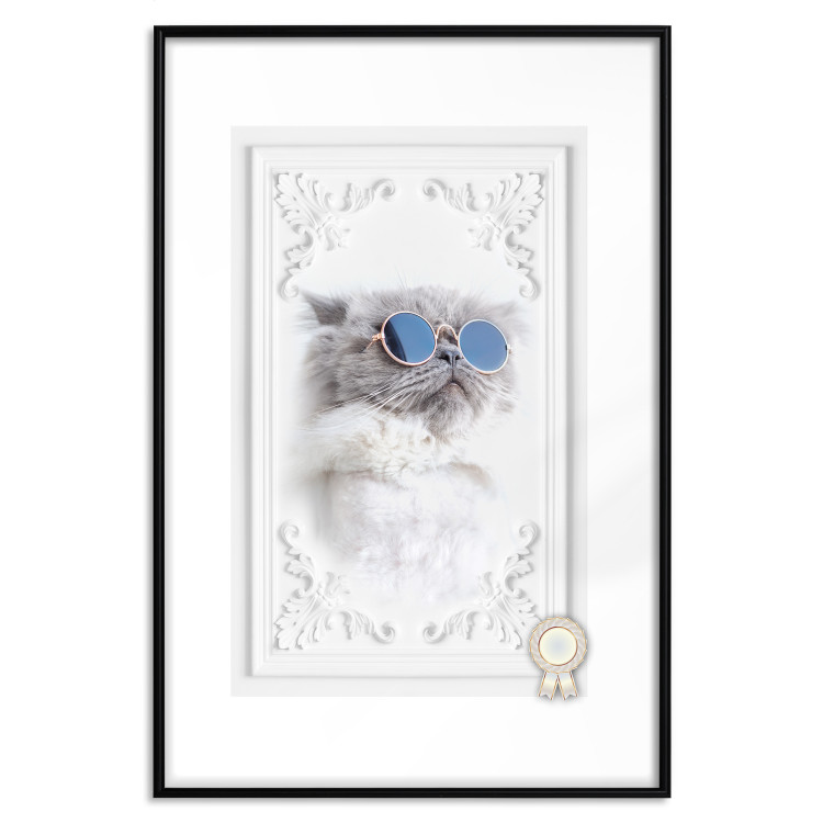 Poster Cat in Glasses - Playful composition with an animal on a white background 114362 additionalImage 17