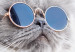 Poster Cat in Glasses - Playful composition with an animal on a white background 114362 additionalThumb 9