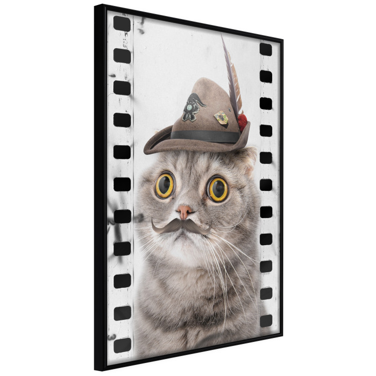 Poster Cat in a Hat - funny yellow-eyed animal with a mustache on film tape 116362 additionalImage 10