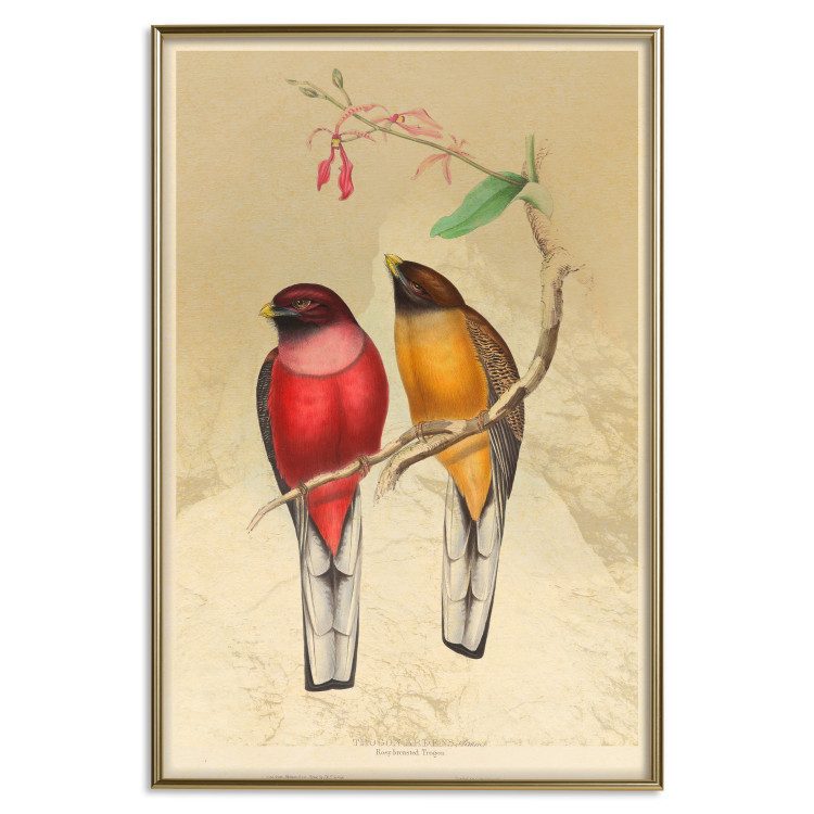 Wall Poster Birds on Branch - colorful composition with a green leaf and a flower 116662 additionalImage 20
