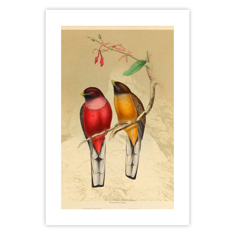 Wall Poster Birds on Branch - colorful composition with a green leaf and a flower 116662 additionalImage 19