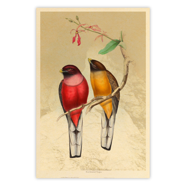 Wall Poster Birds on Branch - colorful composition with a green leaf and a flower 116662