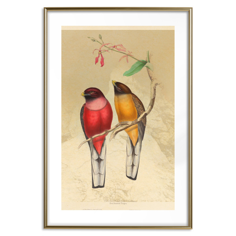Wall Poster Birds on Branch - colorful composition with a green leaf and a flower 116662 additionalImage 16