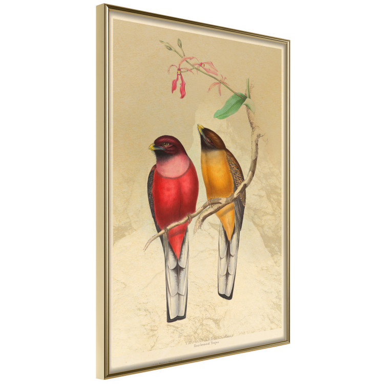Wall Poster Birds on Branch - colorful composition with a green leaf and a flower 116662 additionalImage 14