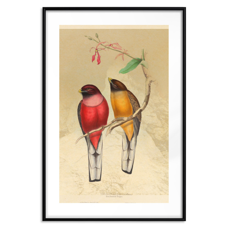 Wall Poster Birds on Branch - colorful composition with a green leaf and a flower 116662 additionalImage 15