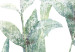 Wall Poster Subtle Rustle - botanical composition with delicate green leaves 118262 additionalThumb 9