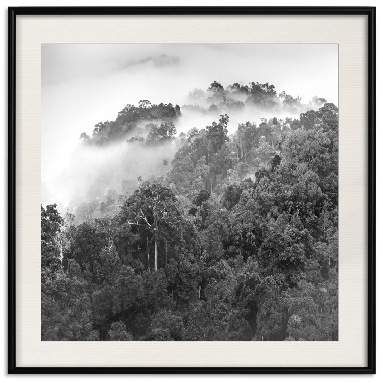 Wall Poster Rainy Forest - black and white landscape with a view of trees and fog 120462 additionalImage 17