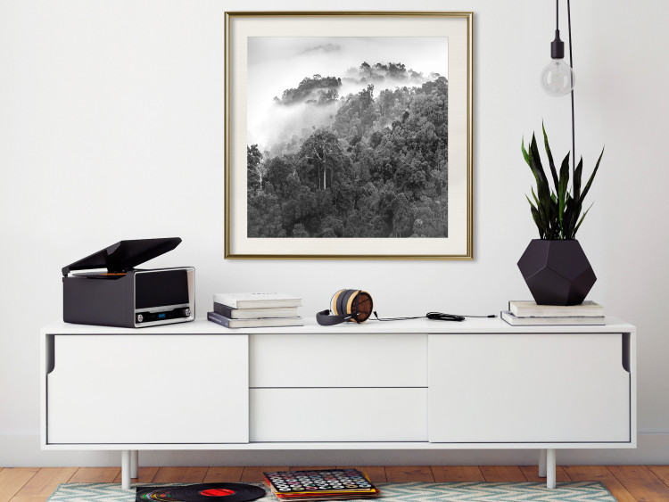 Wall Poster Rainy Forest - black and white landscape with a view of trees and fog 120462 additionalImage 23
