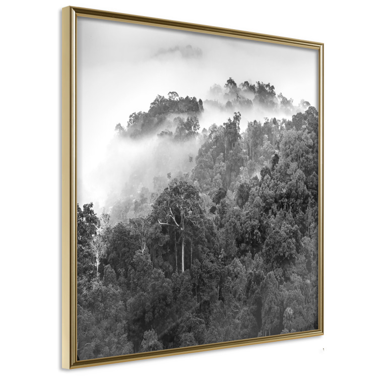 Wall Poster Rainy Forest - black and white landscape with a view of trees and fog 120462 additionalImage 14