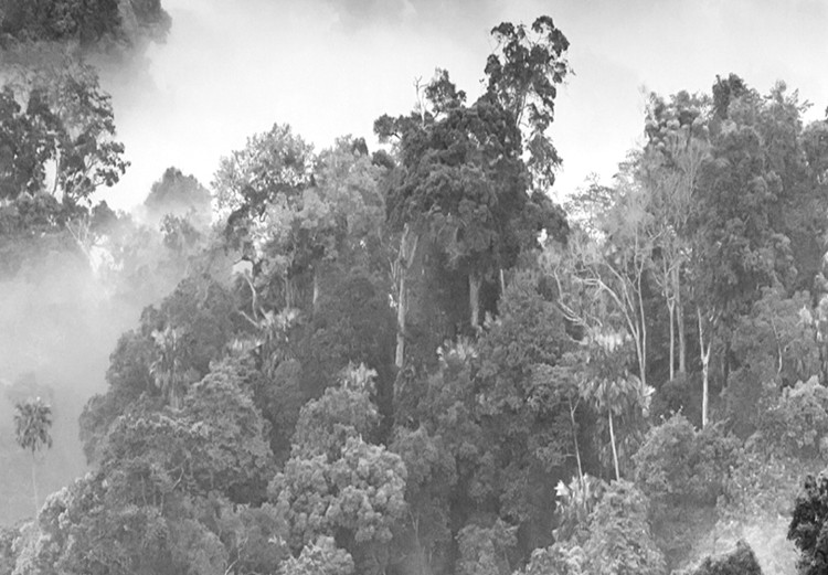 Wall Poster Rainy Forest - black and white landscape with a view of trees and fog 120462 additionalImage 9