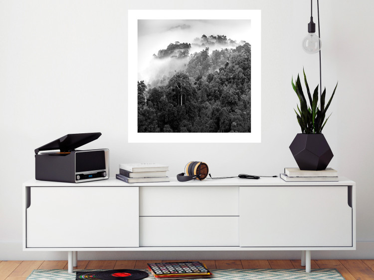 Wall Poster Rainy Forest - black and white landscape with a view of trees and fog 120462 additionalImage 2