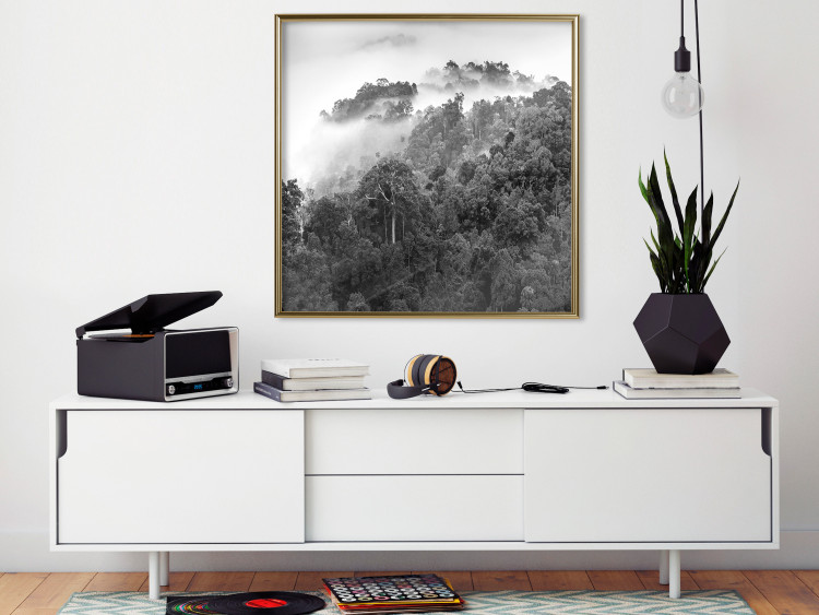 Wall Poster Rainy Forest - black and white landscape with a view of trees and fog 120462 additionalImage 7