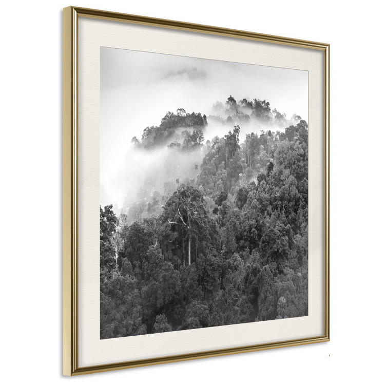 Wall Poster Rainy Forest - black and white landscape with a view of trees and fog 120462 additionalImage 2