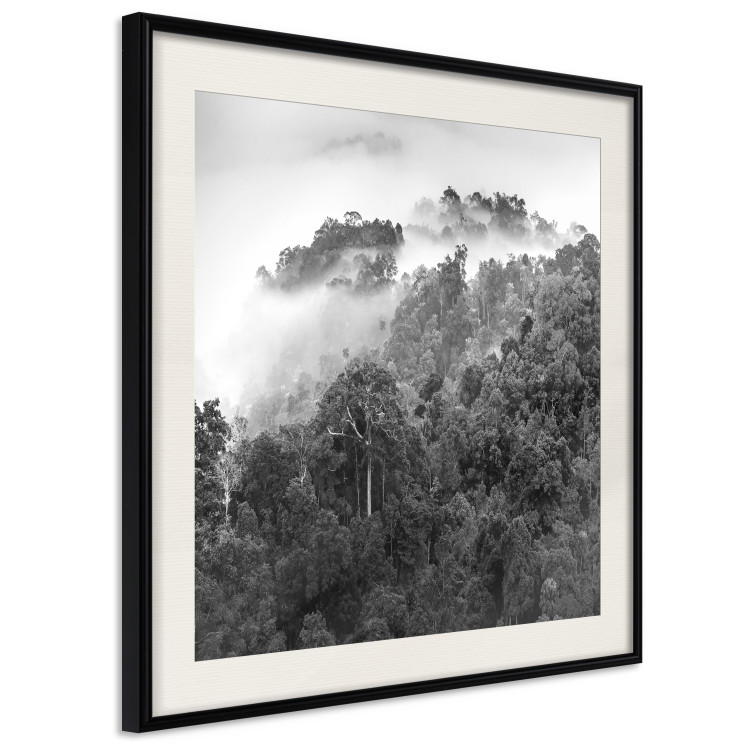Wall Poster Rainy Forest - black and white landscape with a view of trees and fog 120462 additionalImage 3