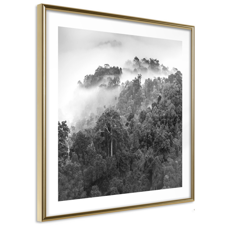 Wall Poster Rainy Forest - black and white landscape with a view of trees and fog 120462 additionalImage 8