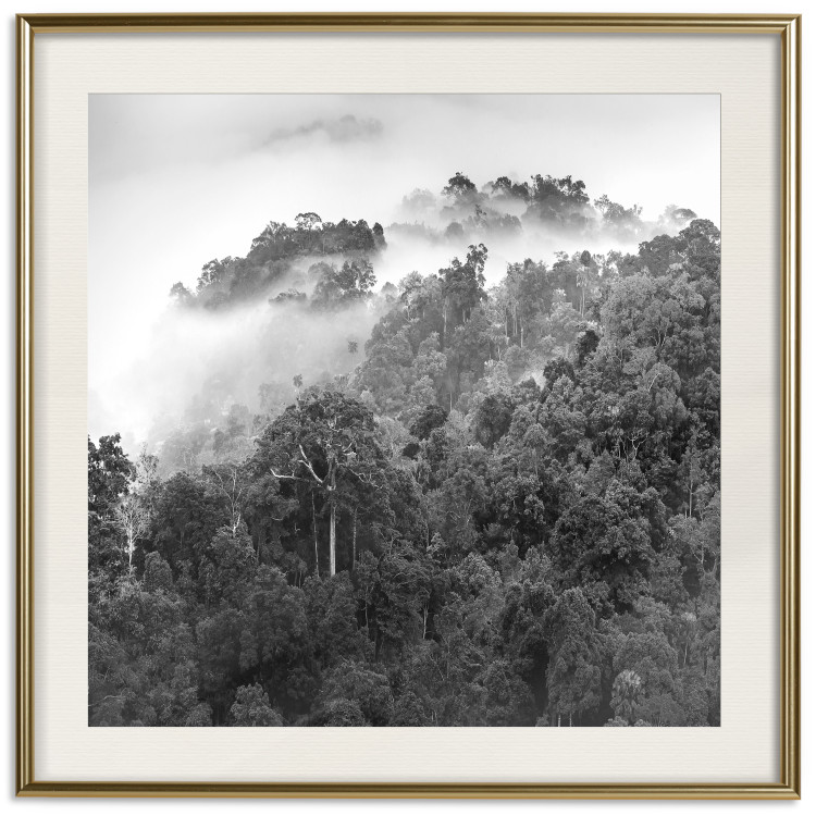 Wall Poster Rainy Forest - black and white landscape with a view of trees and fog 120462 additionalImage 20