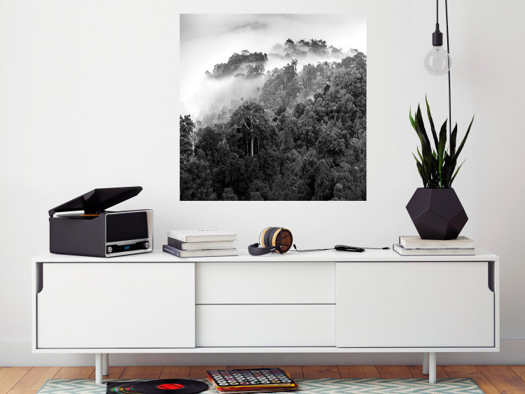 Wall Poster Rainy Forest - black and white landscape with a view of trees and fog 120462 additionalImage 17