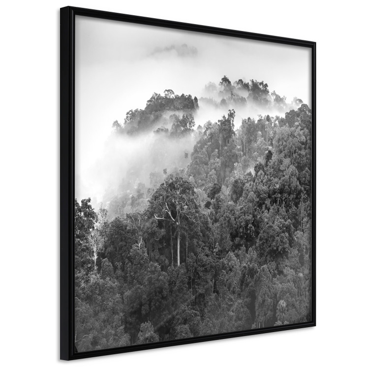 Wall Poster Rainy Forest - black and white landscape with a view of trees and fog 120462 additionalImage 12