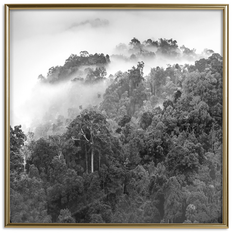 Wall Poster Rainy Forest - black and white landscape with a view of trees and fog 120462 additionalImage 26
