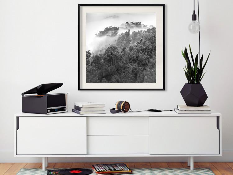 Wall Poster Rainy Forest - black and white landscape with a view of trees and fog 120462 additionalImage 16