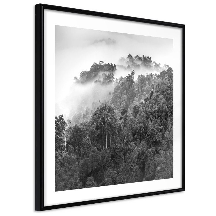 Wall Poster Rainy Forest - black and white landscape with a view of trees and fog 120462 additionalImage 11