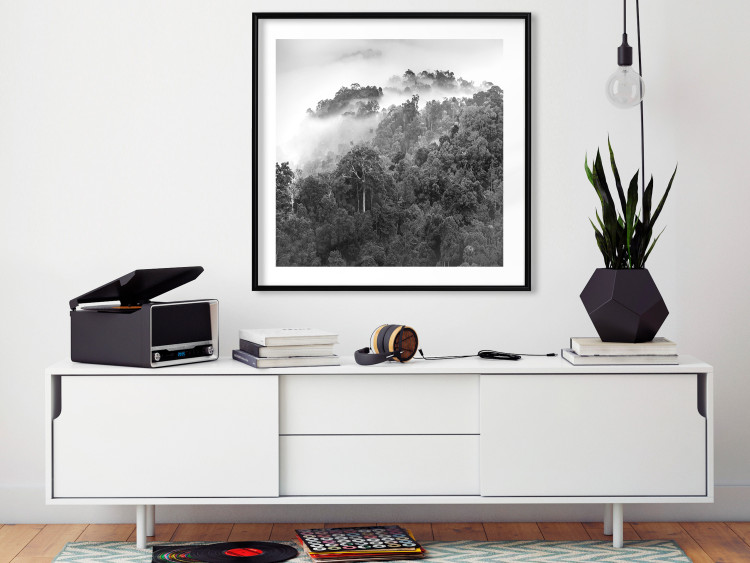 Wall Poster Rainy Forest - black and white landscape with a view of trees and fog 120462 additionalImage 4