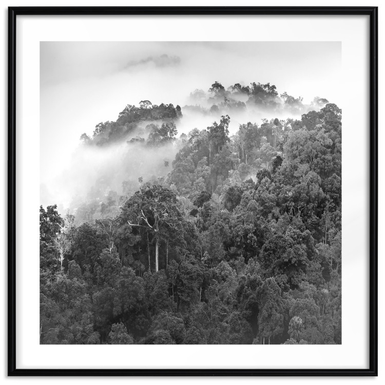 Wall Poster Rainy Forest - black and white landscape with a view of trees and fog 120462 additionalImage 19