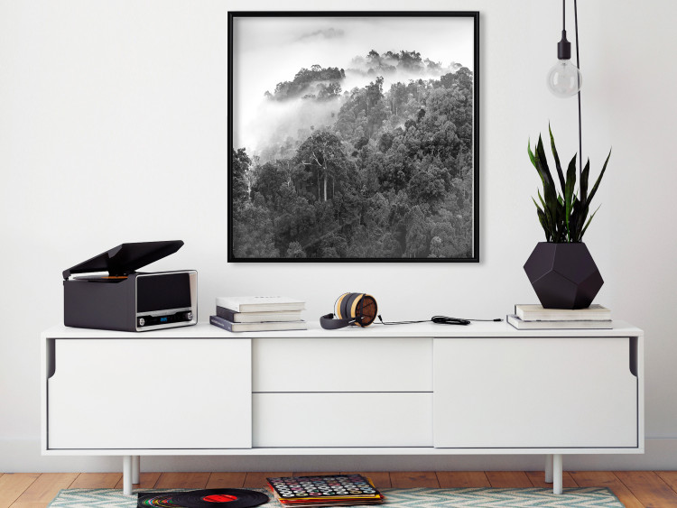 Wall Poster Rainy Forest - black and white landscape with a view of trees and fog 120462 additionalImage 5
