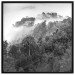 Wall Poster Rainy Forest - black and white landscape with a view of trees and fog 120462 additionalThumb 20
