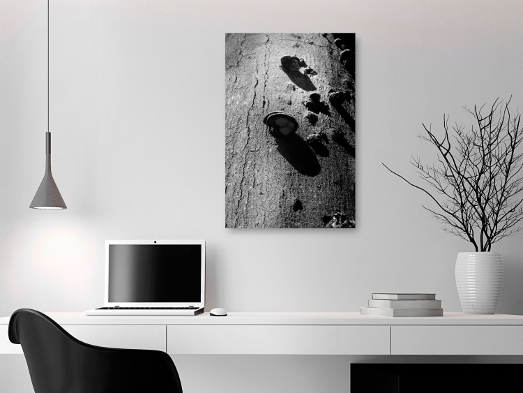 Canvas Print Forest balance - black and white photography with a detail of a tree 122362 additionalImage 3