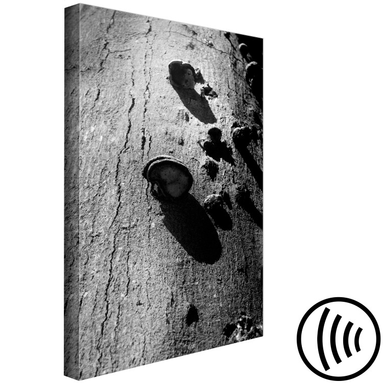 Canvas Print Forest balance - black and white photography with a detail of a tree 122362 additionalImage 6