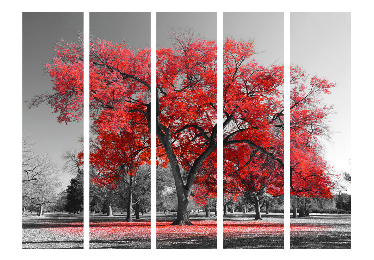 Folding Screen Autumn in the Park II - black and white landscape of trees with red leaves 122962 additionalImage 3