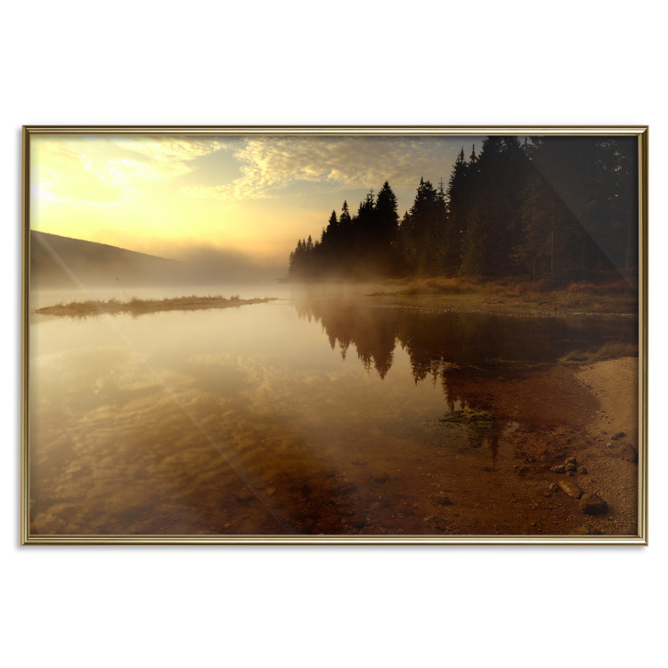 Poster Autumn Evening - autumn landscape of trees at sunset 124462 additionalImage 15