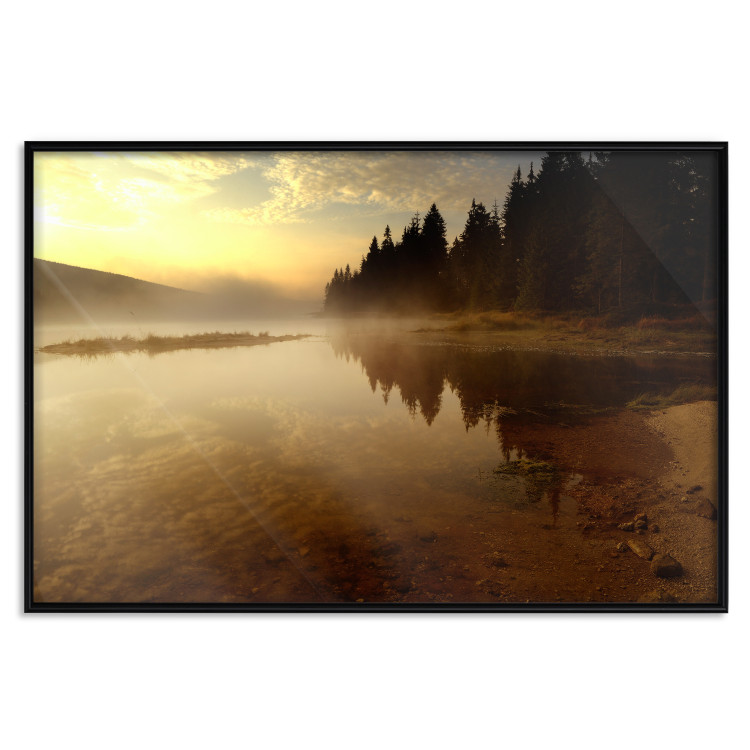 Poster Autumn Evening - autumn landscape of trees at sunset 124462 additionalImage 20