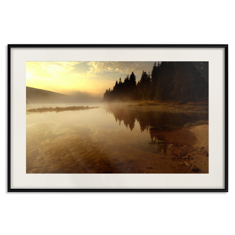 Poster Autumn Evening - autumn landscape of trees at sunset 124462 additionalImage 27